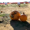 2008-10-07 (068).jpg
